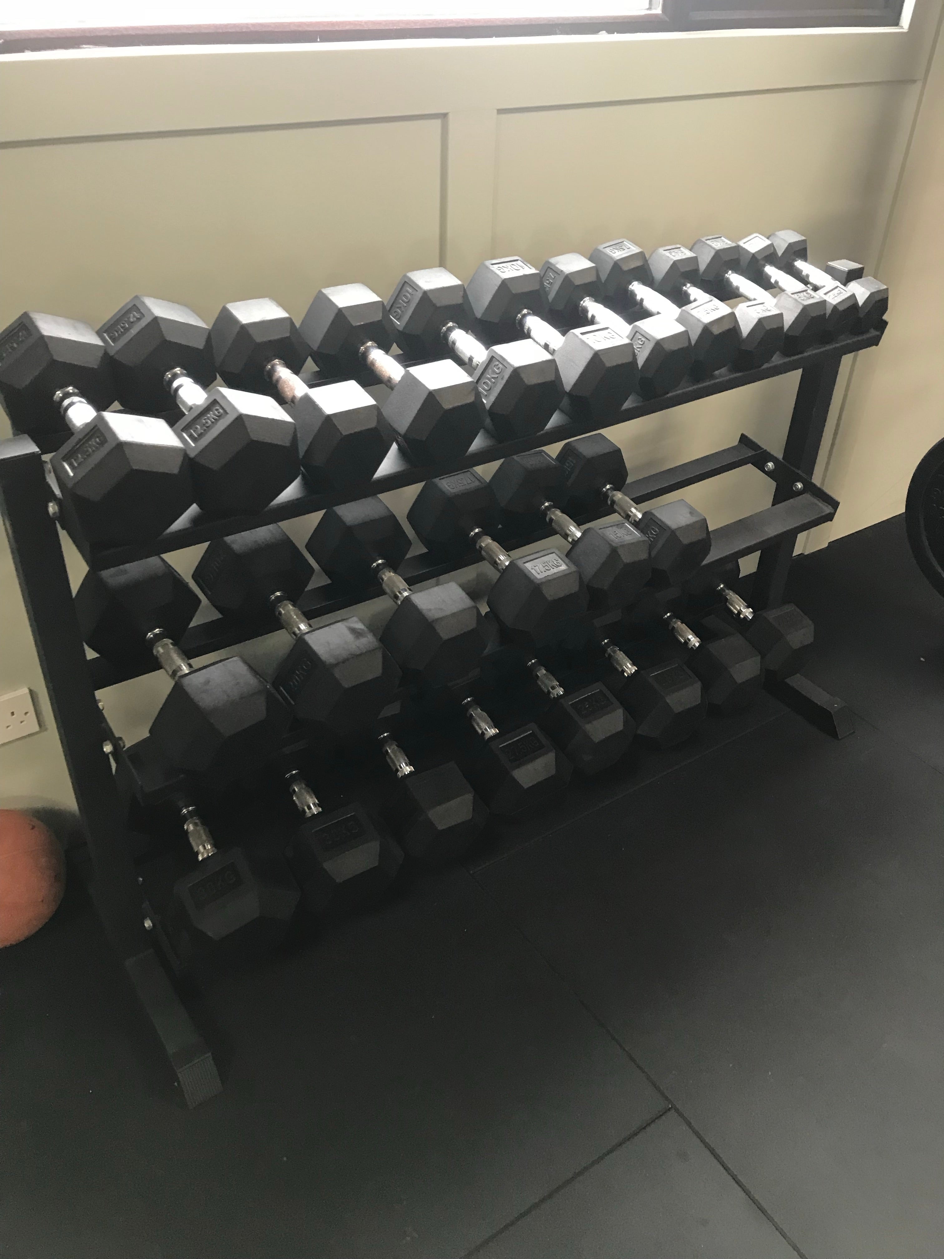 Ultimate wall rig package + 2.5-30kg db set